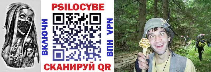 KRAKEN онион  Мещовск  Галлюциногенные грибы Cubensis  купить  